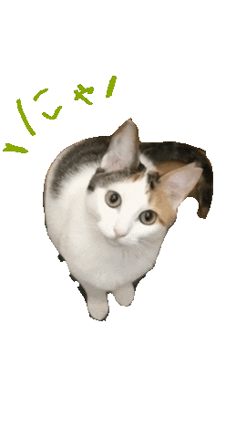 Cat Sticker by universalacademy