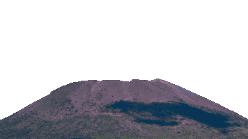 Consorzio di tutela Pomodorino del Piennolo del Vesuvio DOP Sticker