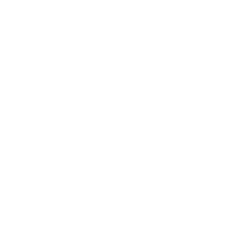 THE WOMAN_RO Sticker