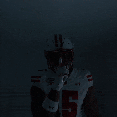 College Football GIF by Wisconsin Badgers