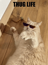 Thug Life Deal With It GIF by Loly in the sky - Find & Share on GIPHY