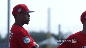Xander Bogaerts GIF by MLB