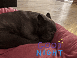 Sleep GIF