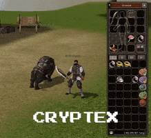 Metin2 GIF