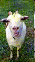 How is everyones day going