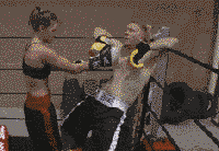 boxers GIF