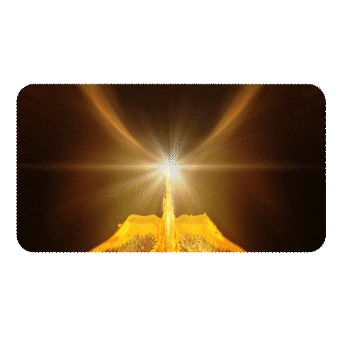 Mw Meetwork Sticker by Yıldız İşletme Kulübü