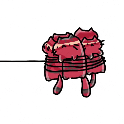 The Hand Cat GIF