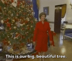 Political gif. Laura Bush is showing us their White House Christmas Tree. She's wearing a red suit and proudly stands in front of a giant Christmas tree while saying, "This is our big, beautiful tree."