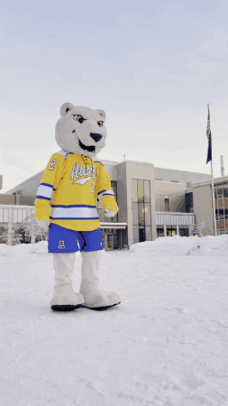 Hockey Nook GIF by University of Alaska Fairbanks