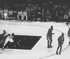 sports basketball nba kobe bryant lakers
