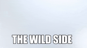 The Marketing Zoo GIF