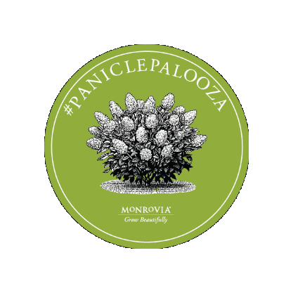 Panicle Palooza Sticker by monroviaplants