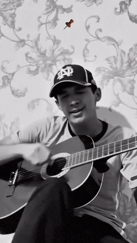 Murod Gitar GIF