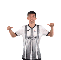 U.P.Plasencia Sticker