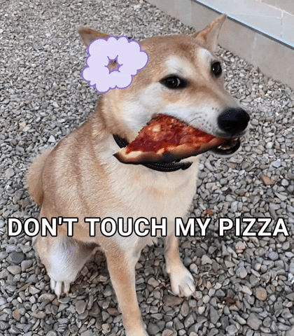 Dog Pizza GIF