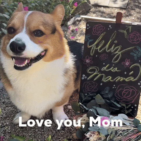Love You Dog GIF