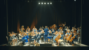 Concert GIF