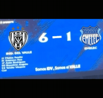 Liga De Quito Ldu GIF