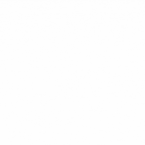 GIAFVolunteers GIF