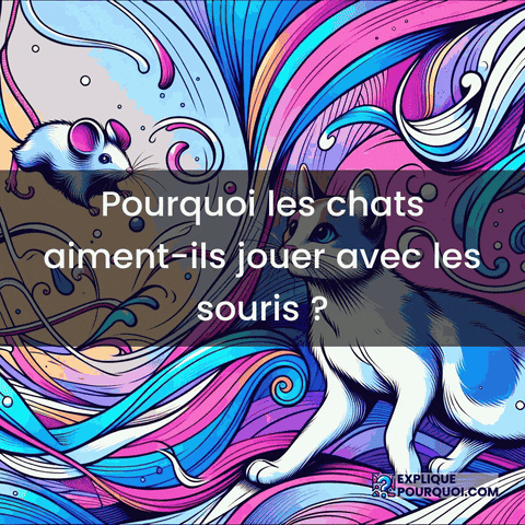 Jeu Chats GIF by ExpliquePourquoi.com