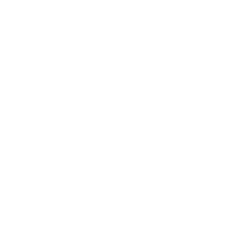 Lionspeed GP Sticker