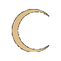 Moody Beauty Sticker