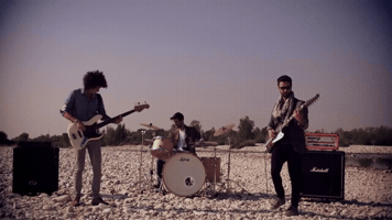 indipsonora  GIF