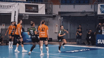 MKSLublin sport lets go handball tak GIF