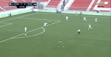 Hassan Bashir GIF