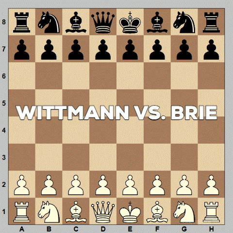 Chess Ajedrez GIF