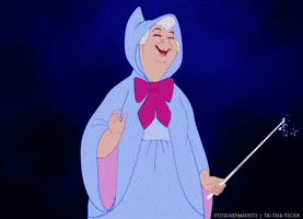 fairy godmother disney GIF tay in touch with your ex?