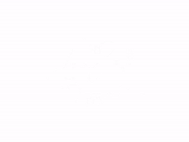 Revolution Love GIF