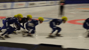 Short Track Speed Skating Fall GIF