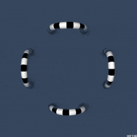 black and white love GIF by G1ft3d