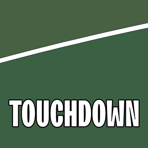 Touch Down Super Bowl GIF by Pudgy Penguins
