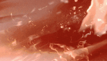 Gameplay GIF