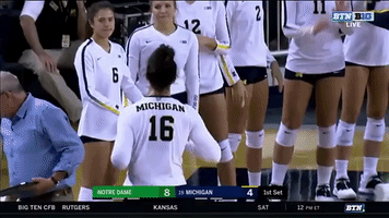 bench high fives michigan volleyball GIF by Michigan Athletics