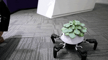 Robot Pot GIF