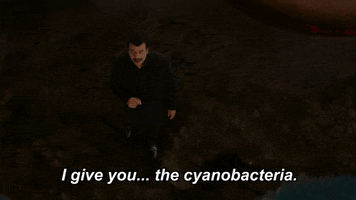 Neil Degrasse Tyson Cyanobacteria GIF by cosmosontv