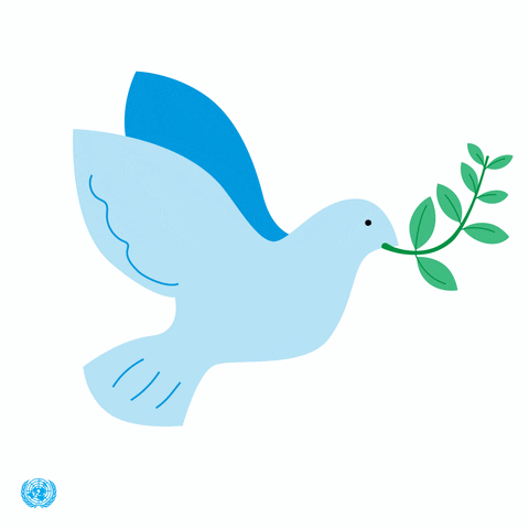 Unitednation GIFs - Get the best GIF on GIPHY