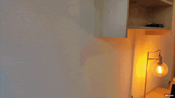 GIF by Institut et Centre d'Optométrie-ICO