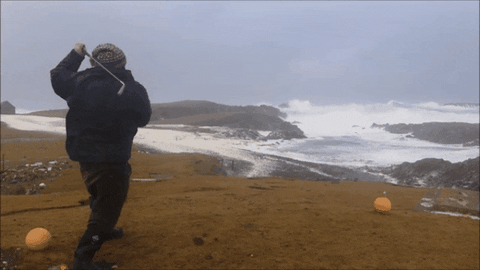 Gif By Gif - Find & Share on GIPHY