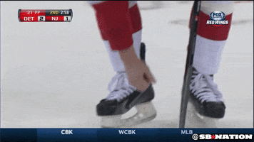 red wings hockey GIF by SB Nation