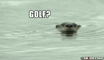 200.gif?cid=fc005b08ce1750d5adb6620b7fd661aa3ffadf16ea156c70&rid=200.gif&ct=g