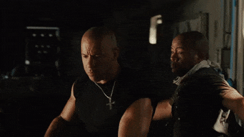 Fast And Furious Fight GIF by The Fast Saga