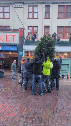 GIF by Pike Place Market