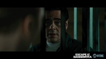 Benicio Del Toro GIF by Showtime