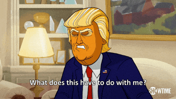 season 1 what does this have to do with me GIF by Our Cartoon President