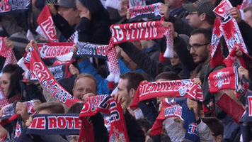 fans rbl GIF by RB Leipzig